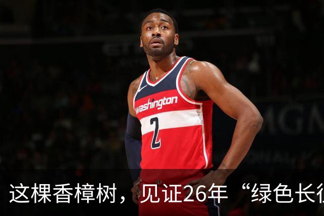 这棵香樟树，见证26年“绿色长征”